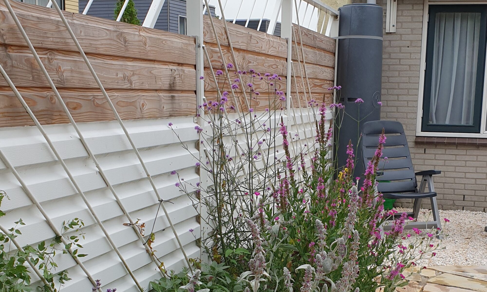 Achtertuin, regenton, plantenborder