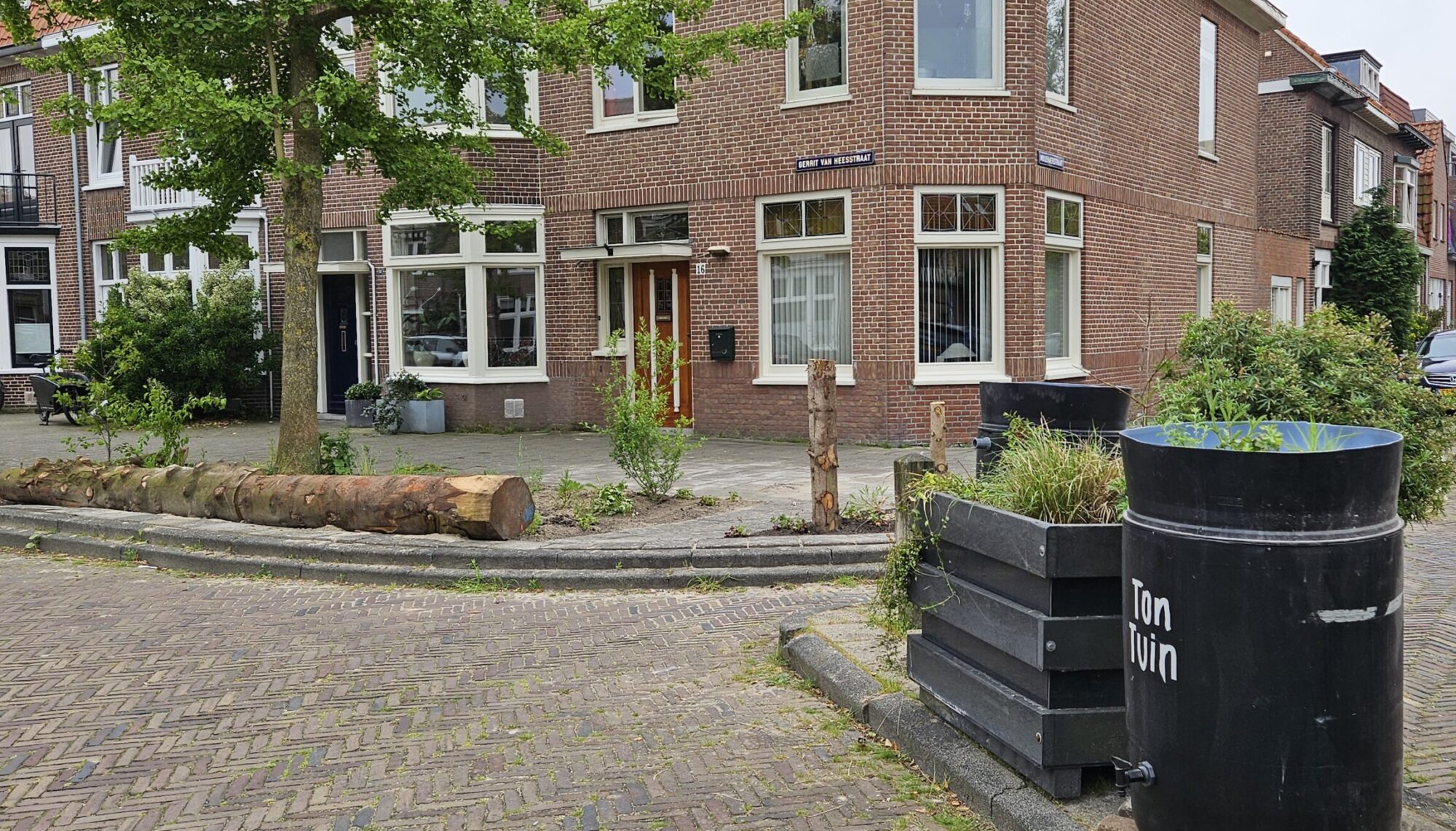 Resultaat plantdag Gerrit van Heesstraat mei 2024